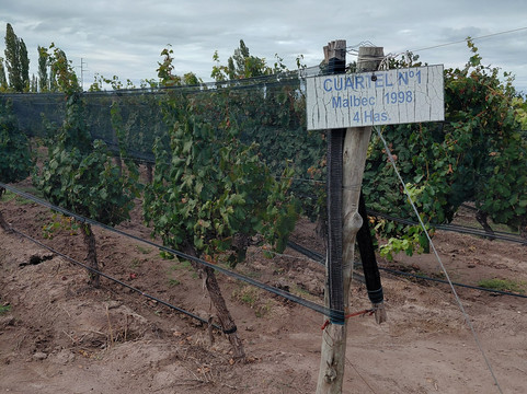 Bodega Finca El Nevado-圣拉斐尔必去景点
