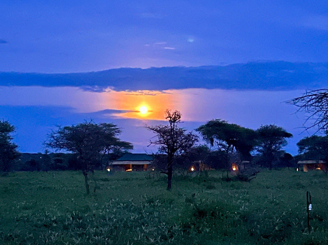 Savannah Explorers Limited-阿鲁沙必去景点