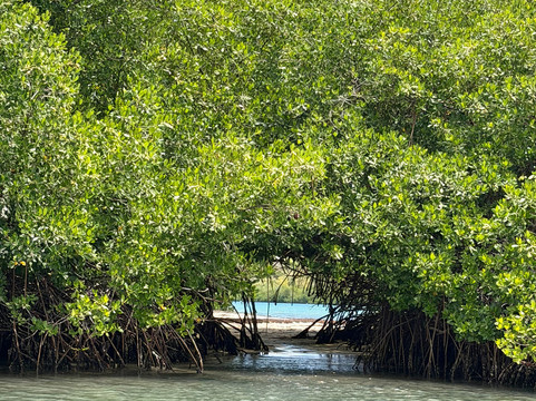 Privilèg'G-Le Francois必去景点