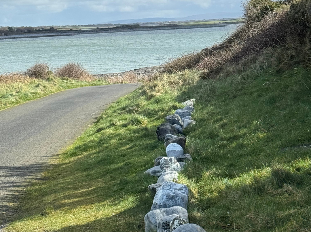 Corporate Cars Galway Chauffeurs-戈尔韦必去景点