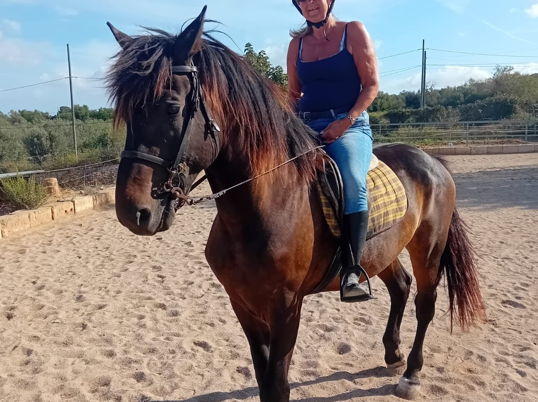 Mallorca Horses-马洛卡帕尔马必去景点