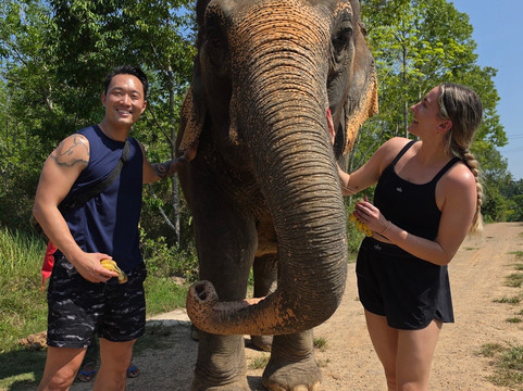 Krabi Elephant Sanctuary-甲米必去景点