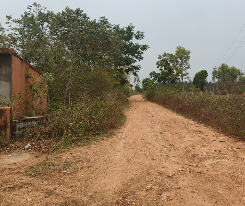 贝鲁尔德瓦拉萨穆德拉度假村主图