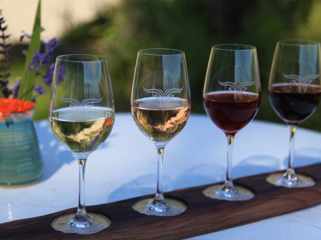 Sage Hayward Vineyards-Saturna Island必去景点