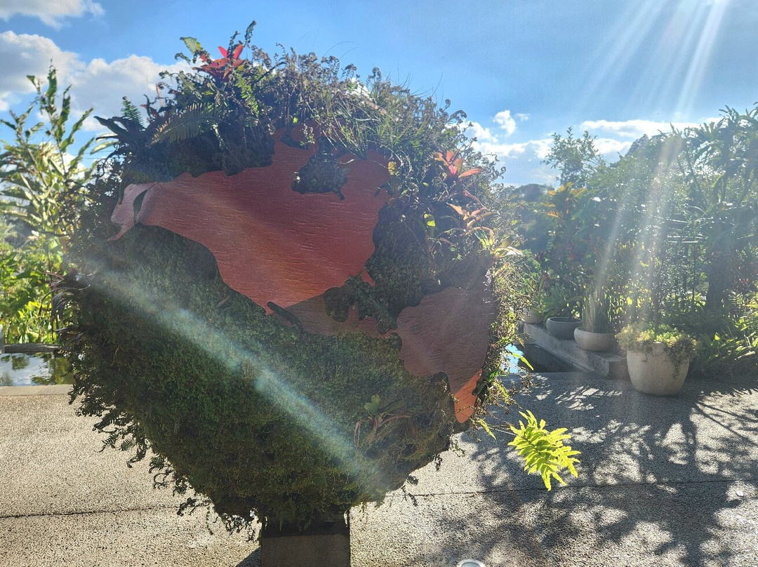 Hacienda Alsacia Starbucks Coffee Farm-Sabanilla必去景点