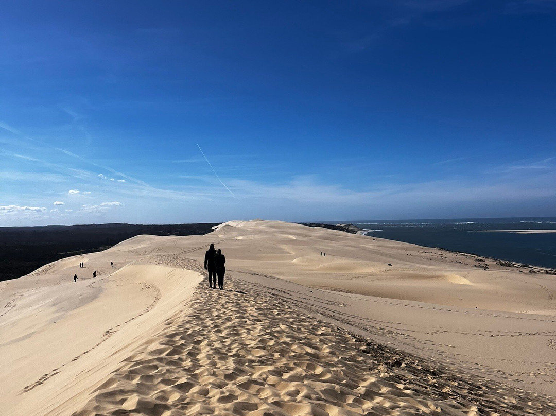 Great Dune of Pilat-拉泰斯特德比克必去景点