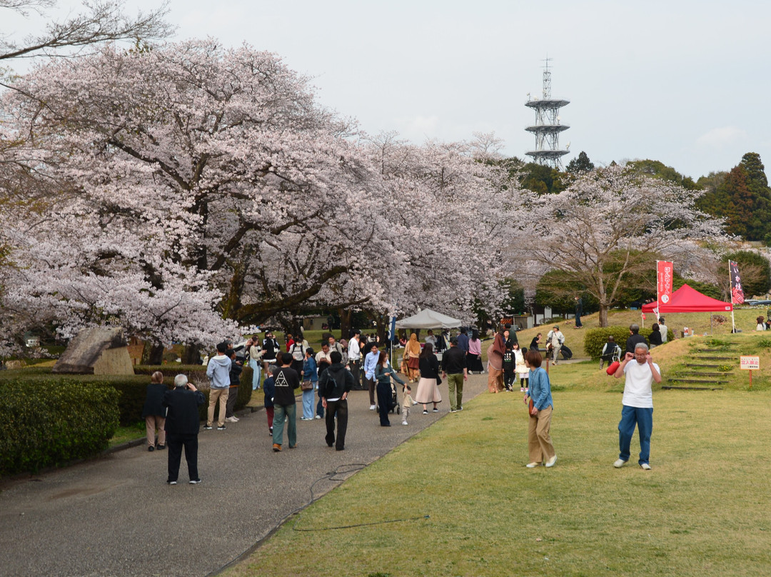 Iwamotoyama Park-富士市必去景点