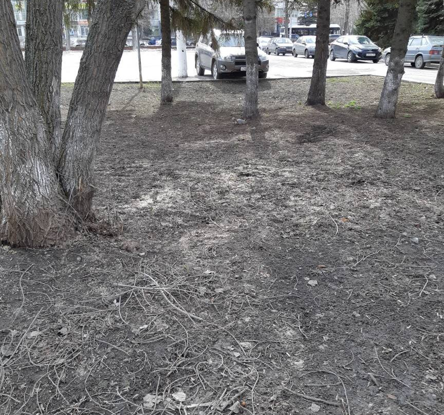 Yu. Gagarin Park of Culture and Leisure-萨马拉必去景点