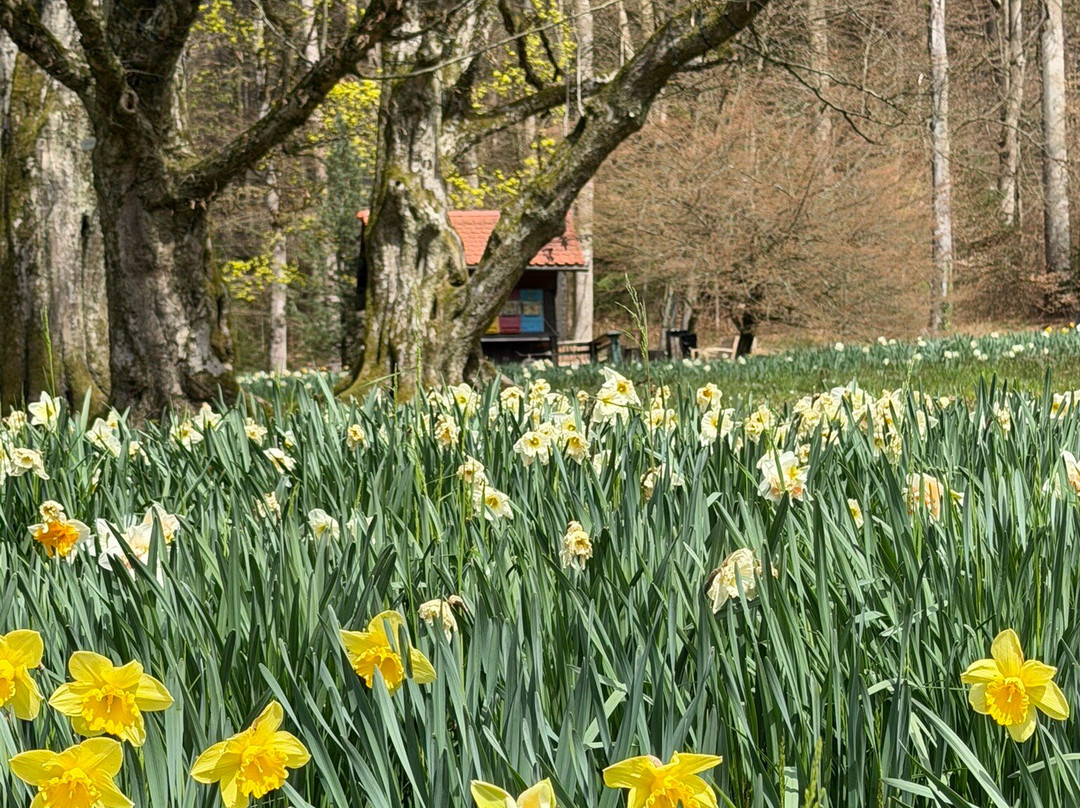 Arboretum Volčji Potok-Radomlje必去景点