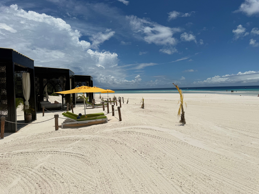 桑给巴尔巴哈里别墅酒店