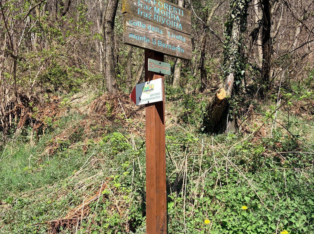 Riserva Naturale dei Ciciu del Villar-Villar San Costanzo必去景点