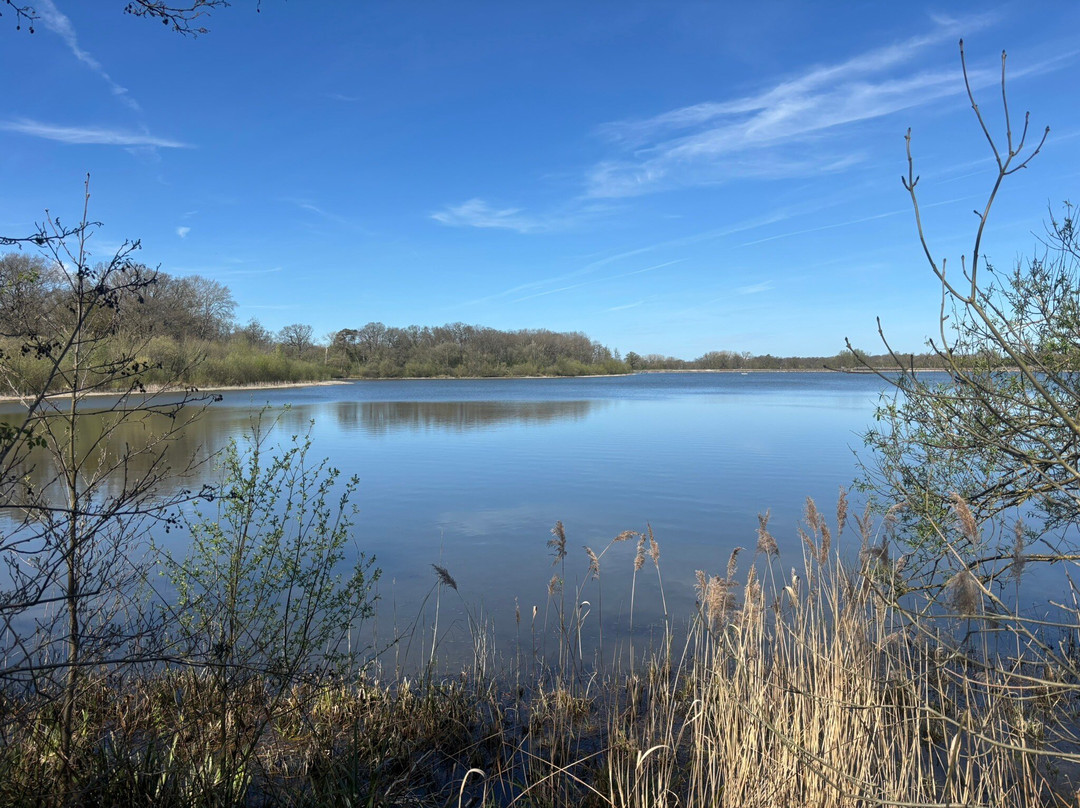Aldenham Country Park-Elstree必去景点