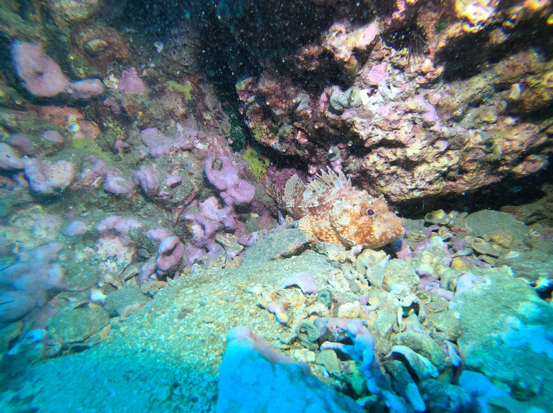 Marenostrum Expediciones-Isla Robinson Crusoe必去景点