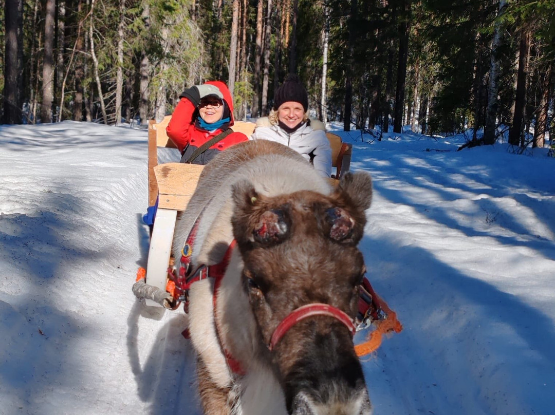 Wolverine Fell Wilderness and Nature-Kittilä必去景点