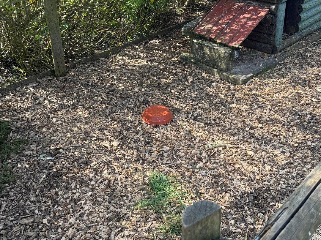 Little Jack's Farm and Garden Centre-Bottesford必去景点