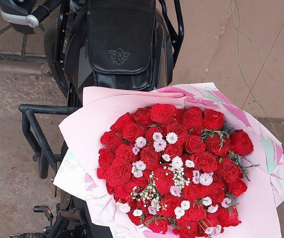 Lovely Flowers OOTY-乌提必去景点