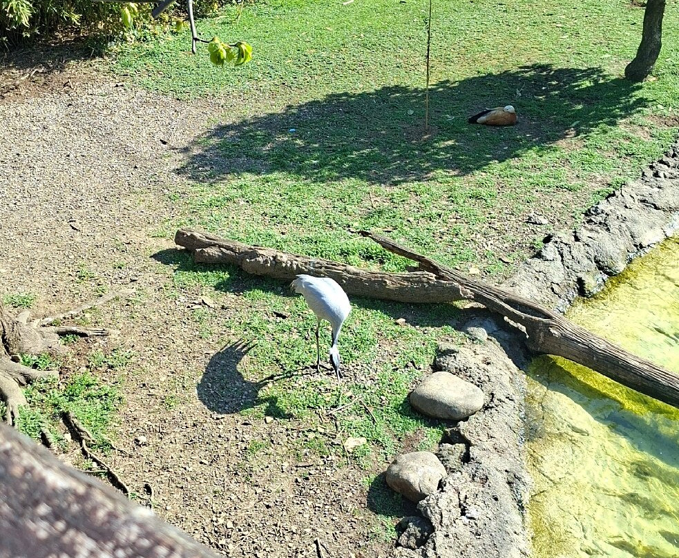 Parco Faunistico Le Cornelle-Valbrembo必去景点