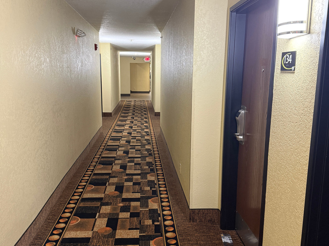 尼克萨-斯普林菲尔德地区速8酒店主图