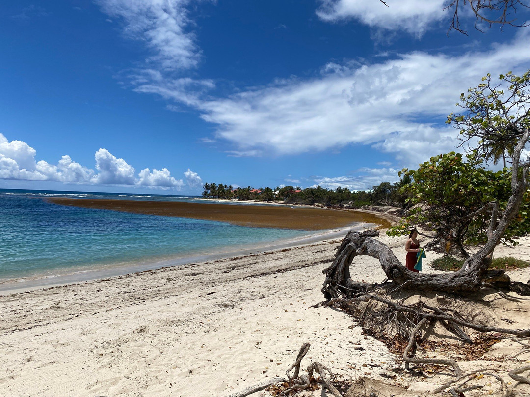 Plage des Raisins Clairs-Saint Francois必去景点