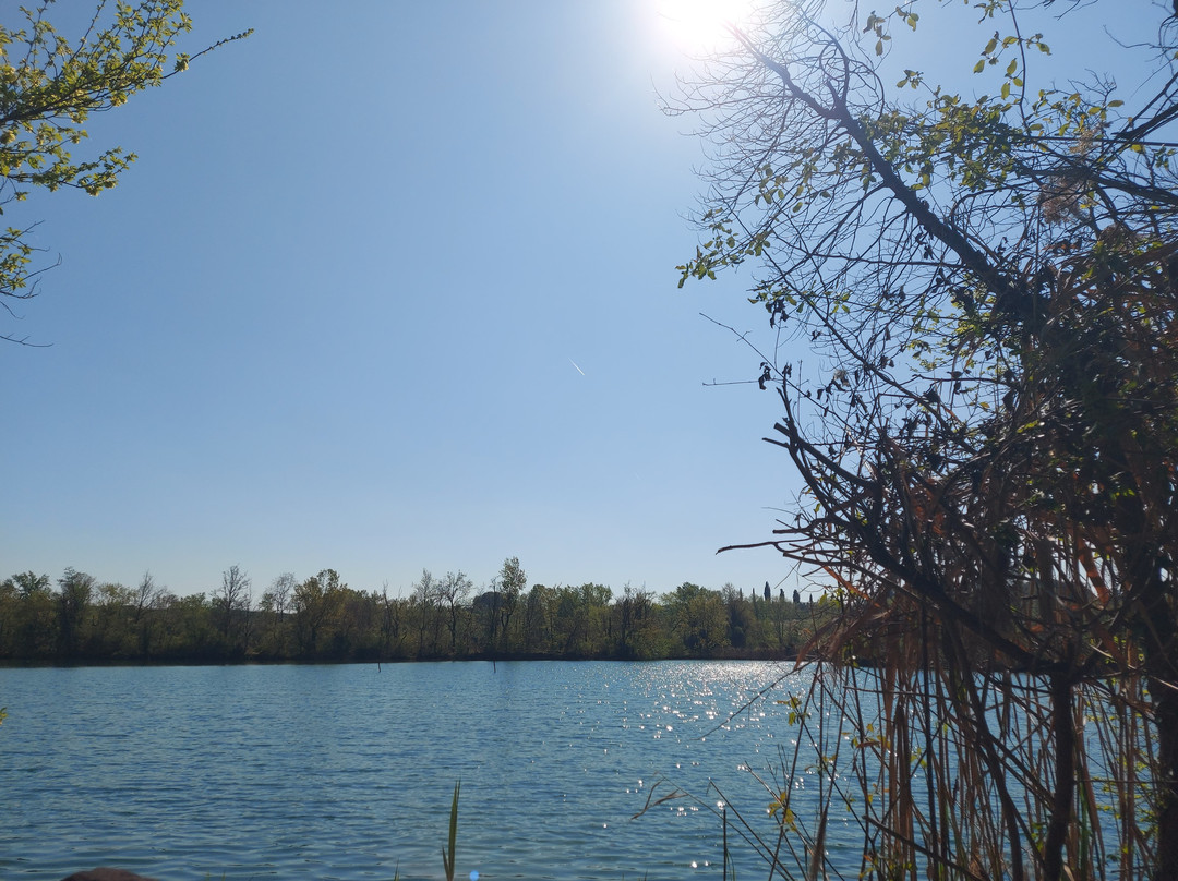 Torbiere del Sebino-Provaglio d'Iseo必去景点