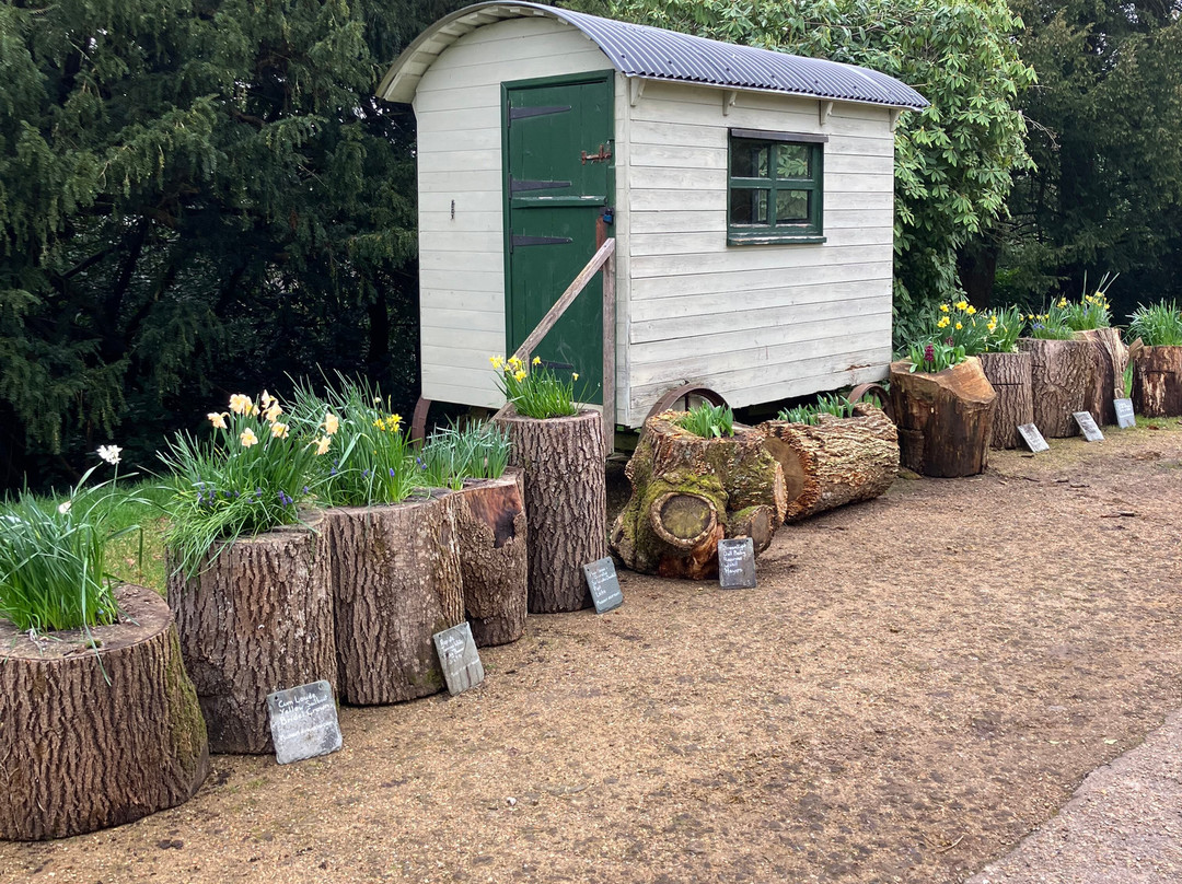 Petworth House and Park-佩特沃斯必去景点