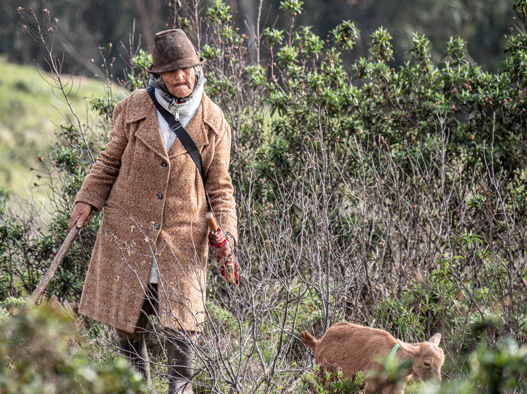 Portugal Nature Trails-辛特拉必去景点