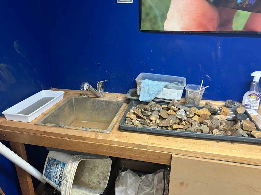 Opal Museum-布里斯班必去景点