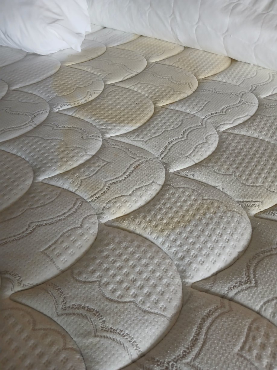 柯克伍德贝斯特韦斯特酒店-旅行者