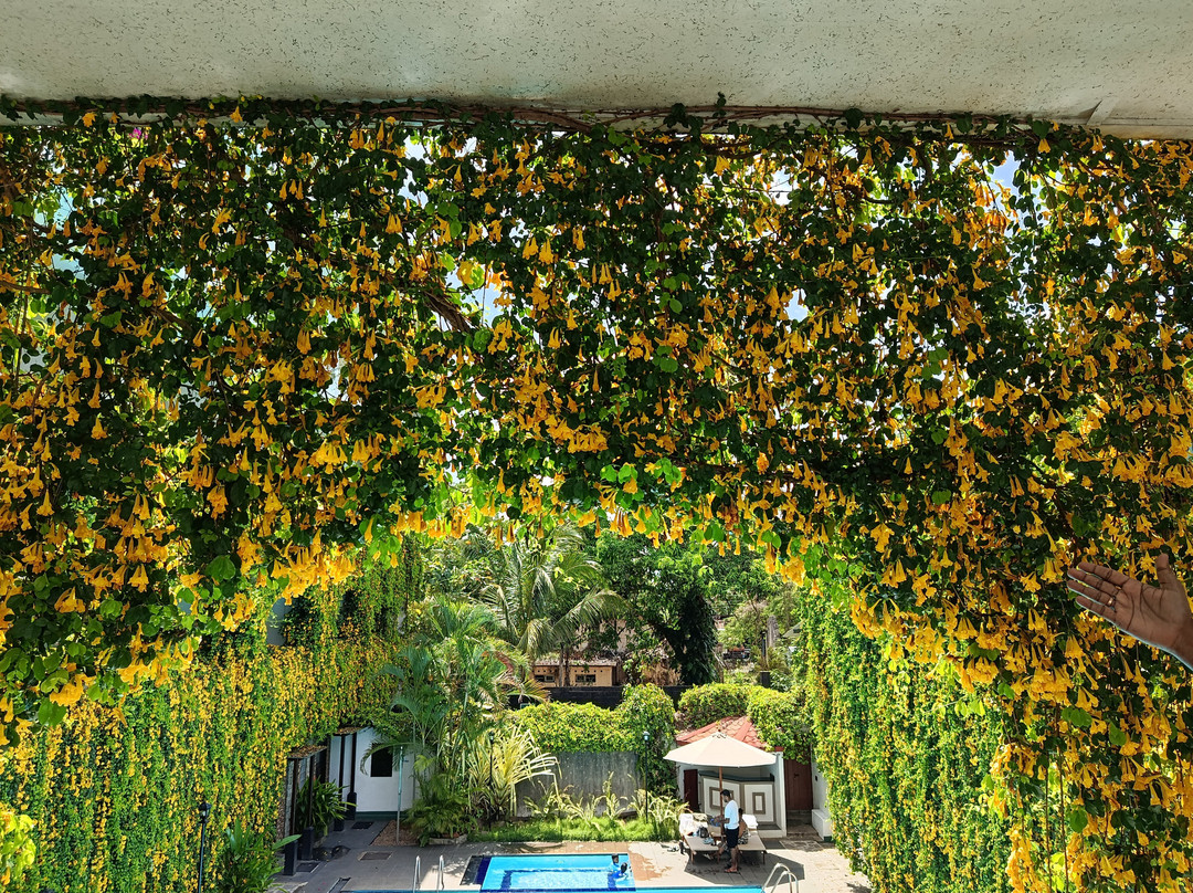 康登河段旅馆主图