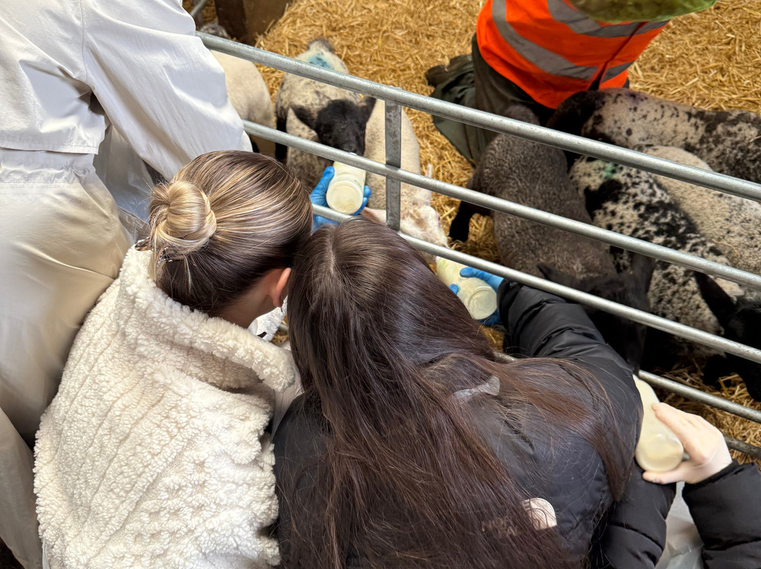 Craigbank Farm-Kilmarnock必去景点