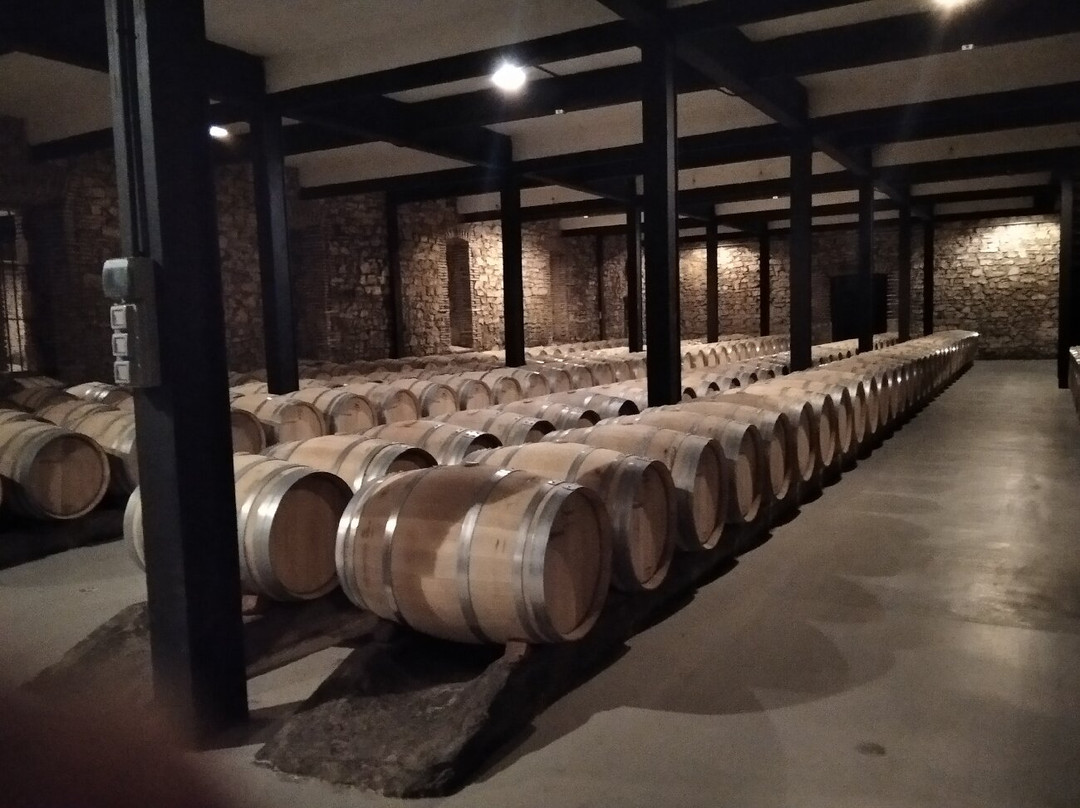 Bodegas Franco Espanolas-洛格罗尼奥必去景点