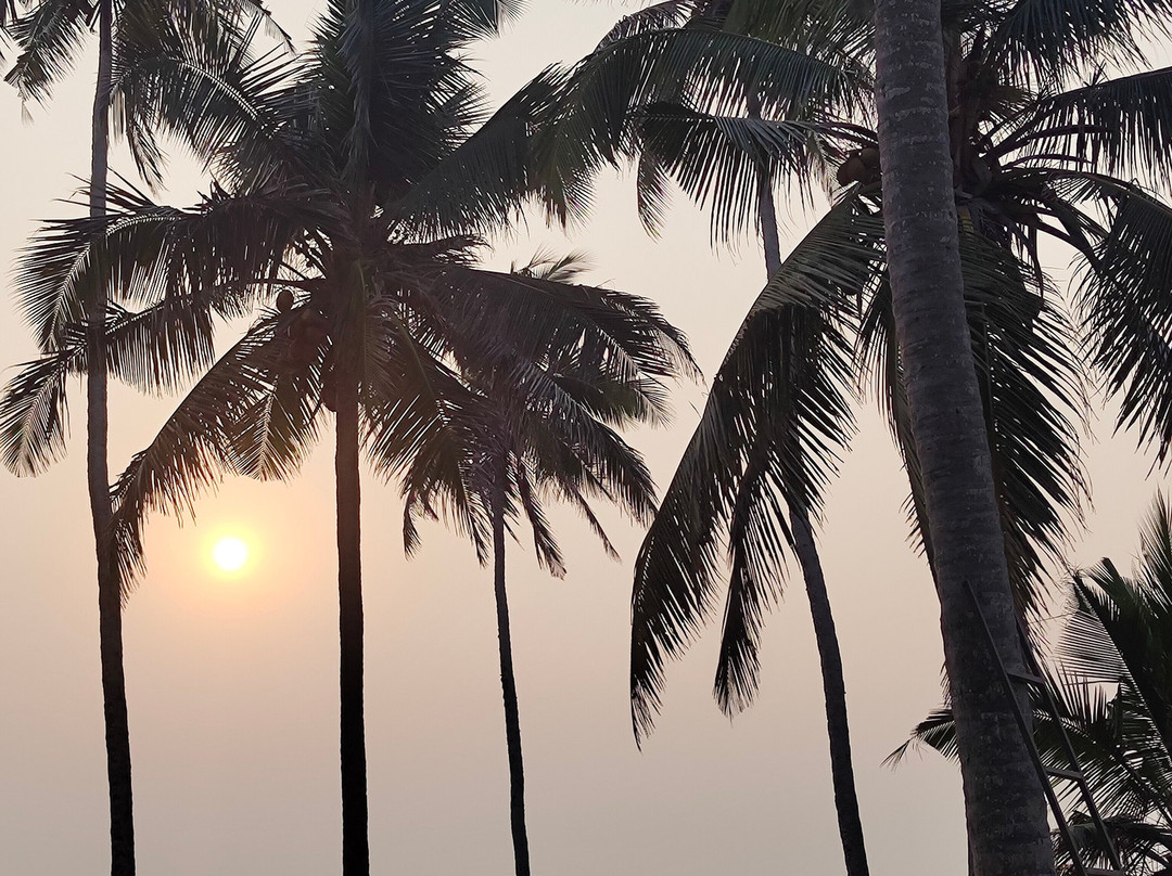 Kerala Holidays-柯钦必去景点