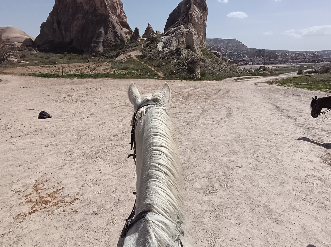 Cappadocia Horse Ranch-内夫谢希尔必去景点
