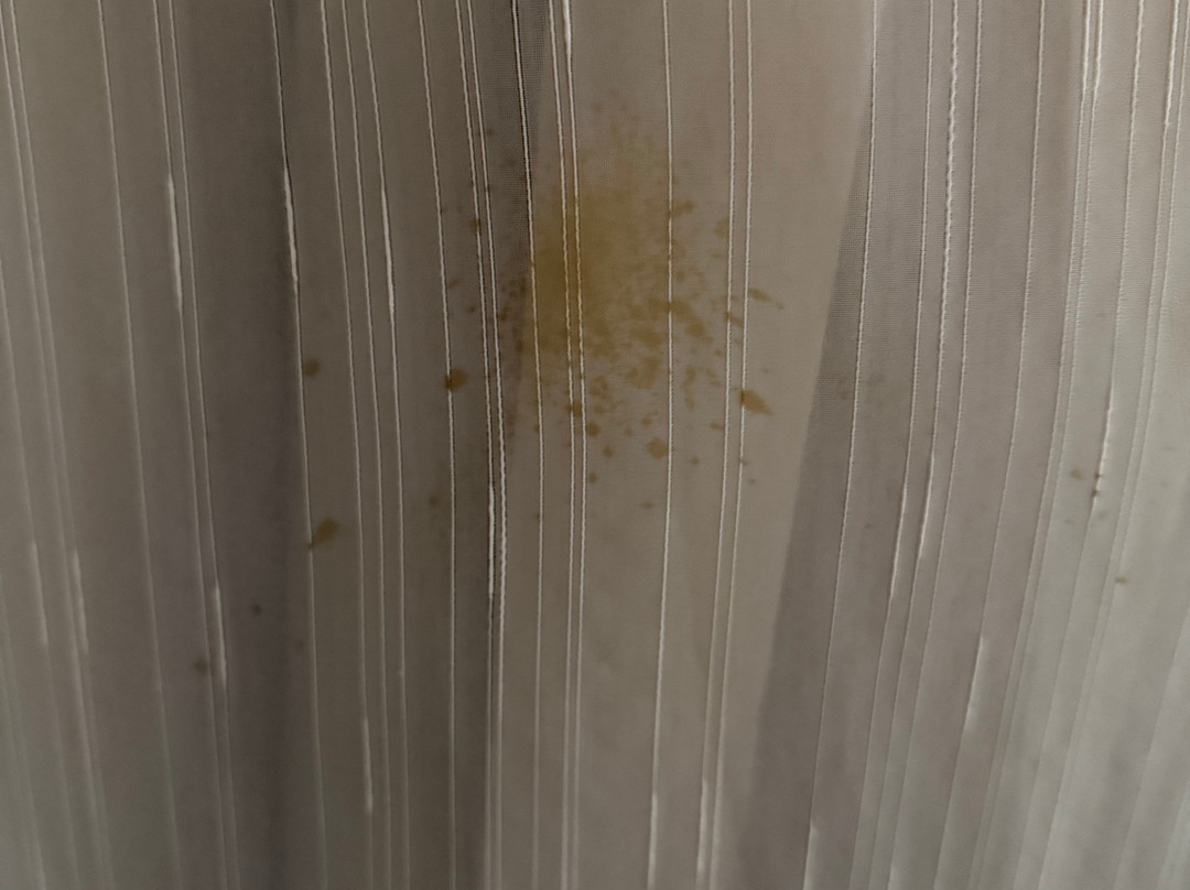 底特律利沃尼诺维希尔顿安泊酒店主图