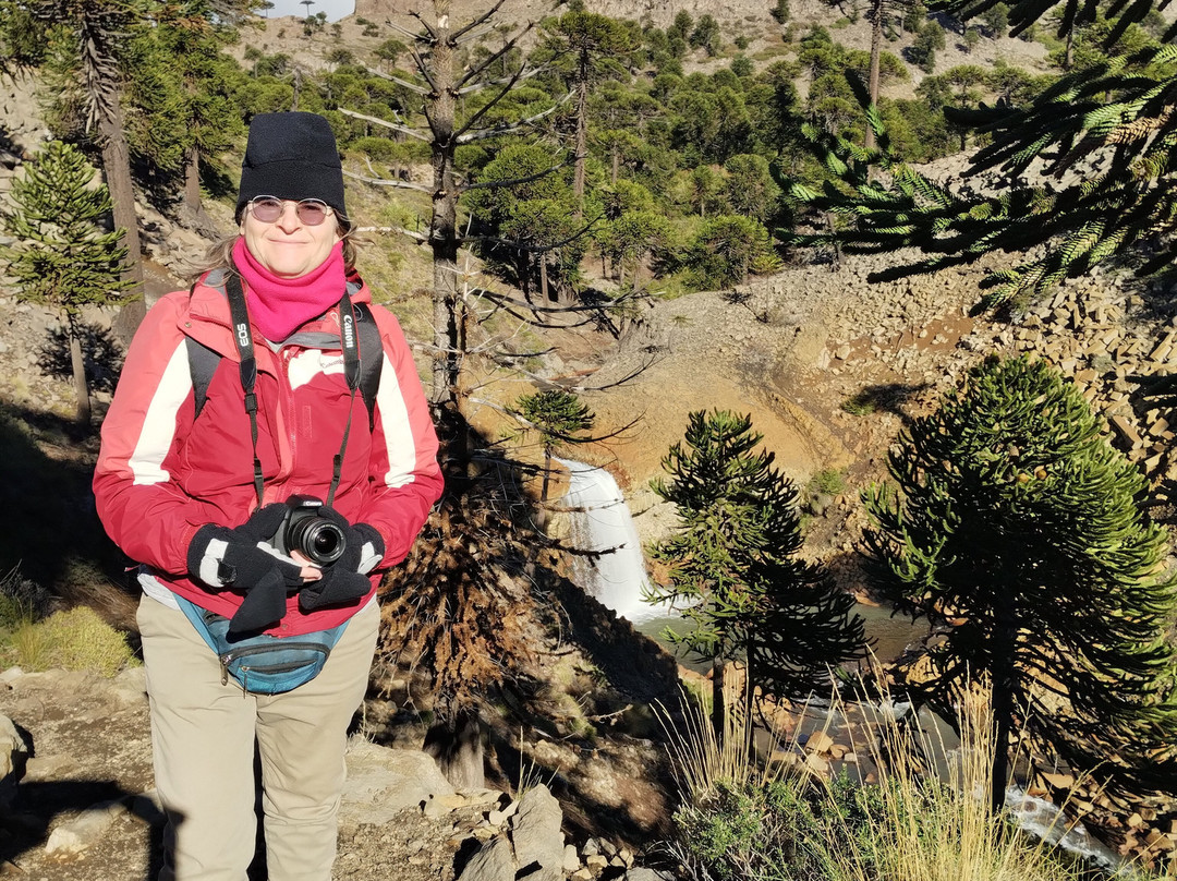 Cascadas del Agrio-Caviahue必去景点