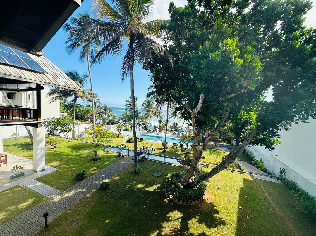 Ceylon Wavewalkers (Pvt) Ltd-哈顿必去景点