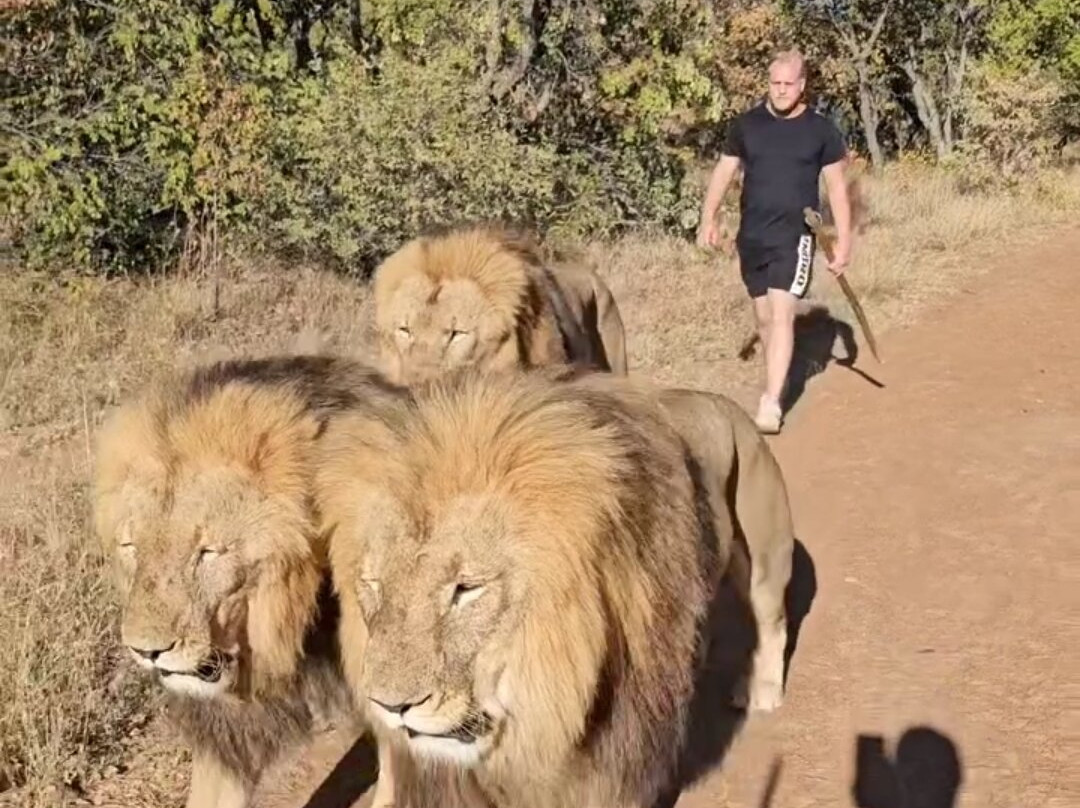 The Joburg Squirrel-约翰内斯堡必去景点