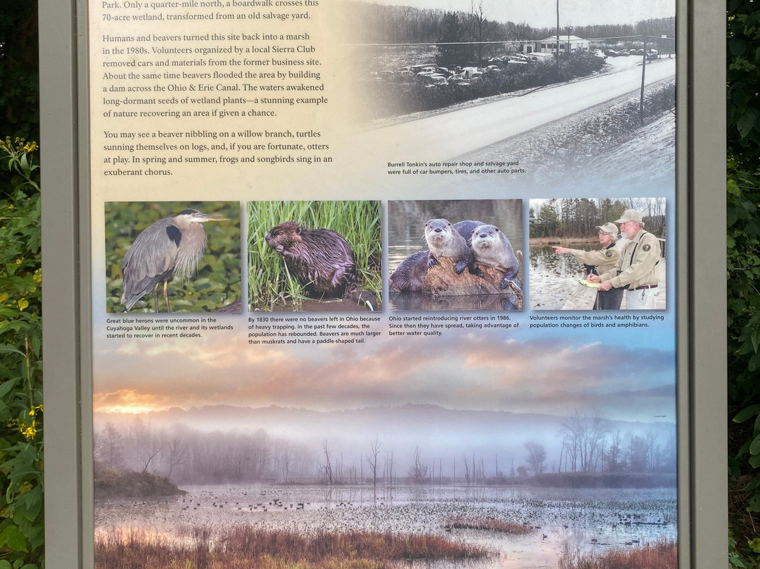 Beaver Marsh-Peninsula必去景点