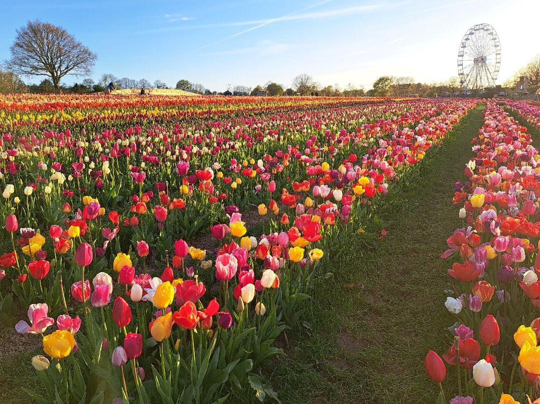 Tulleys-Turners Hill必去景点