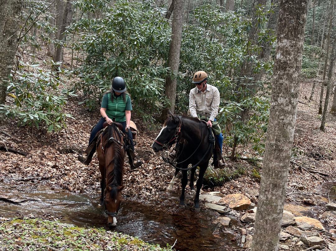 Elk Mountain Riding Company-Newland必去景点