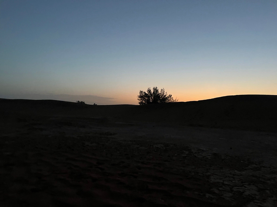Desert Tour-扎古拉必去景点