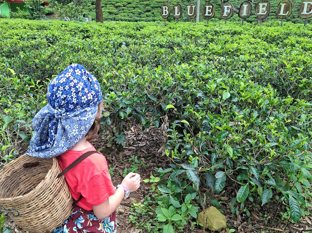 Royal Ceylon Tours-Dunagaha必去景点