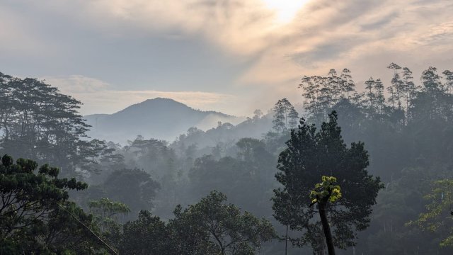 Sinharaja Rest-旅行者