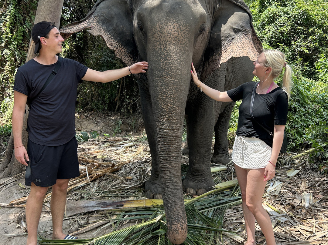 I Love Elephant Samui-Na Mueang必去景点