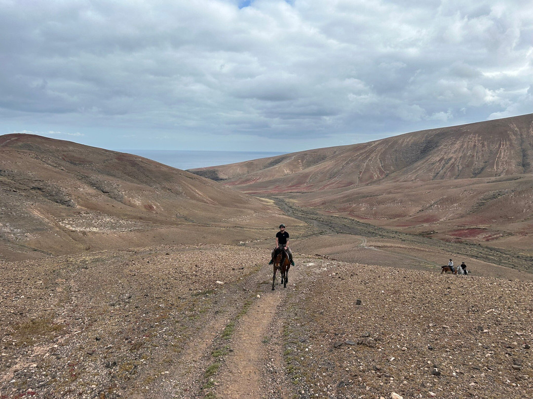 Lanzarote a Caballo-兰萨罗特必去景点