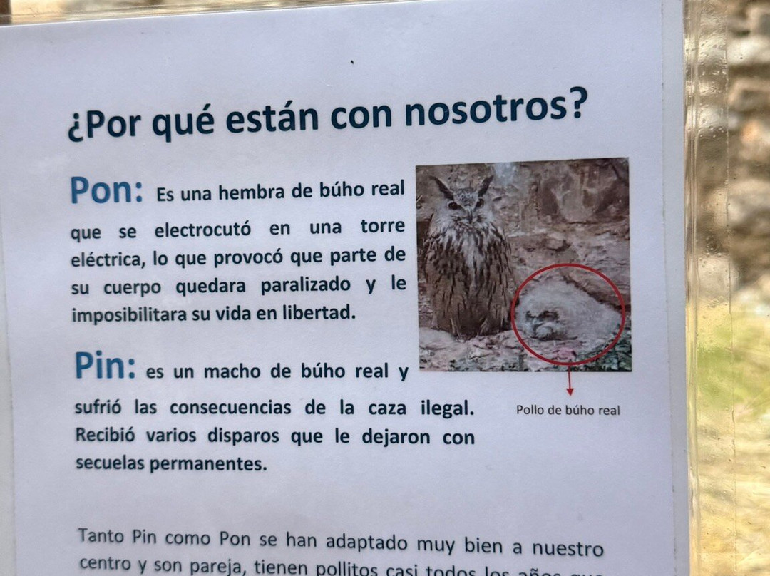 Eco Museo-Centro de Visitantes-艾因萨必去景点