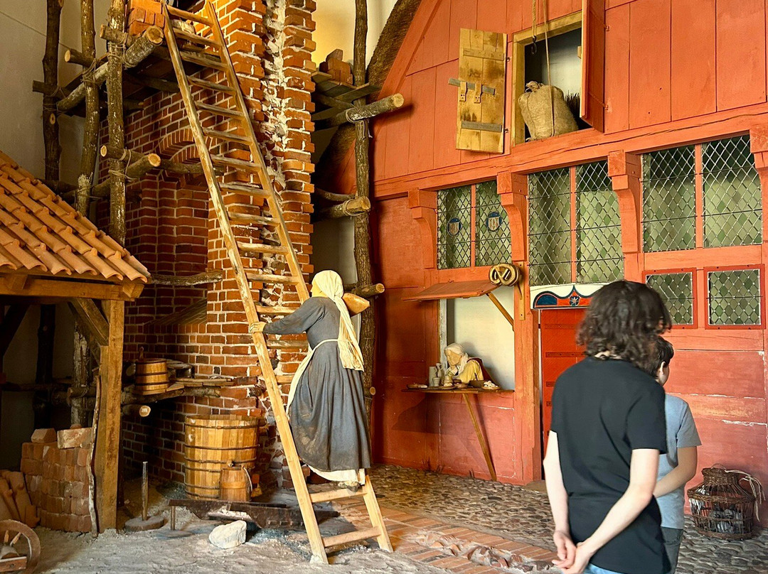 Museet Ribes Vikinger-里伯必去景点