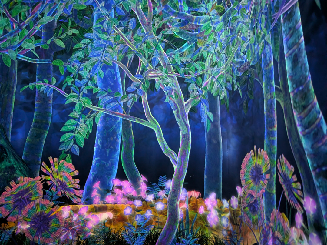 teamLab Planets TOKYO-Toyosu必去景点