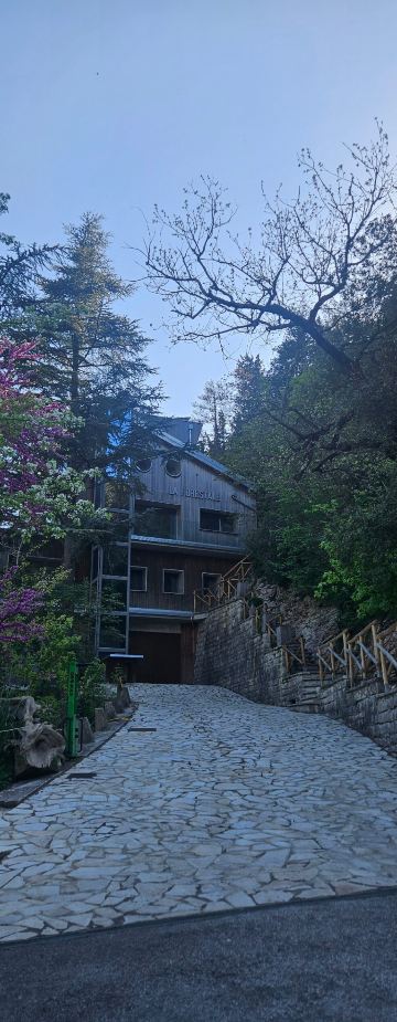 LA FORESTALE 豪华生态旅馆-旅行者