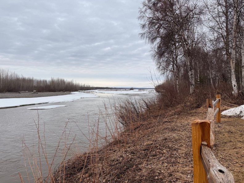 Susitna River Lodging, Backwoods Cabins-旅行者